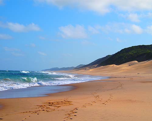 Indian Ocean
